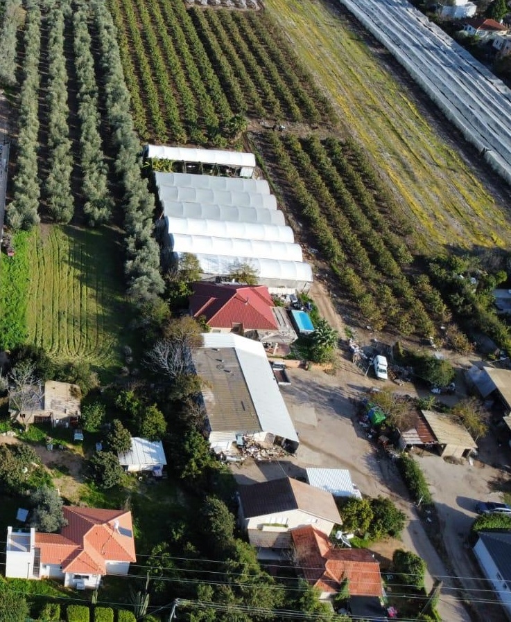 ����� ����� ��������